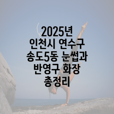 2025년 인천시 연수구 송도5동 눈썹과 반영구 화장 총정리