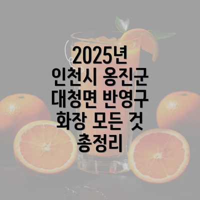 2025년 인천시 옹진군 대청면 반영구 화장 모든 것 총정리