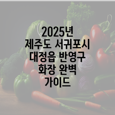 2025년 제주도 서귀포시 대정읍 반영구 화장 완벽 가이드