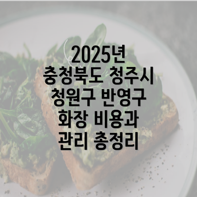 2025년 충청북도 청주시 청원구 반영구 화장 비용과 관리 총정리