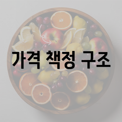 가격 책정 구조