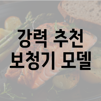 강력 추천 보청기 모델