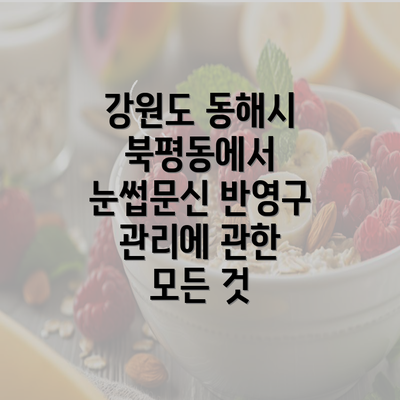 강원도 동해시 북평동에서 눈썹문신 반영구 관리에 관한 모든 것