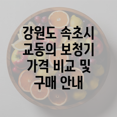 강원도 속초시 교동의 보청기 가격 비교 및 구매 안내