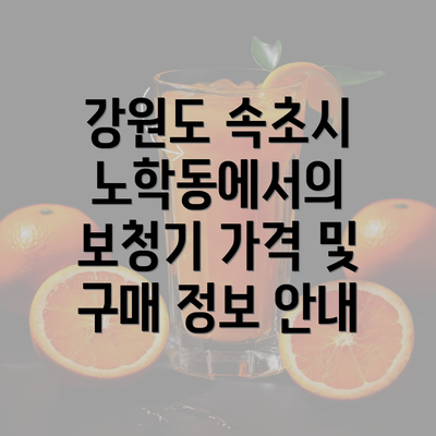 강원도 속초시 노학동에서의 보청기 가격 및 구매 정보 안내