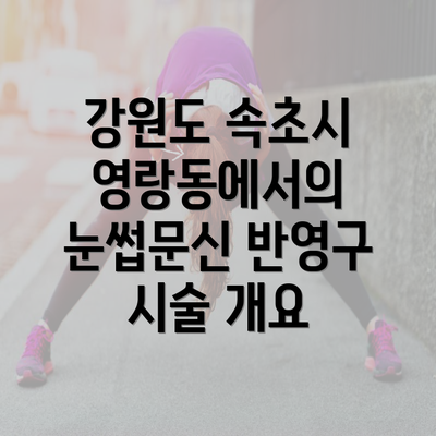 강원도 속초시 영랑동에서의 눈썹문신 반영구 시술 개요