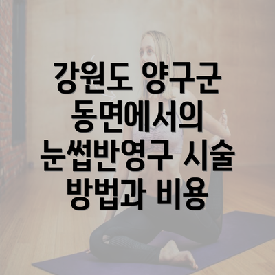 강원도 양구군 동면에서의 눈썹반영구 시술 방법과 비용