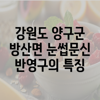 강원도 양구군 방산면 눈썹문신 반영구의 특징