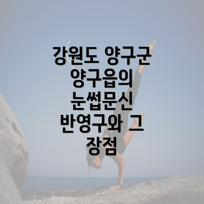 강원도 양구군 양구읍의 눈썹문신 반영구와 그 장점