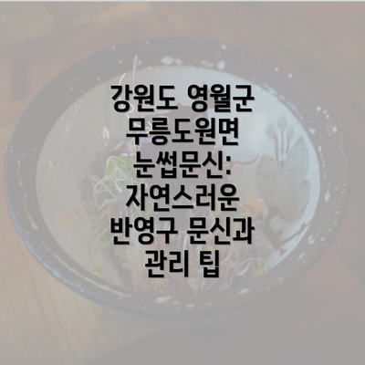 강원도 영월군 무릉도원면 눈썹문신: 자연스러운 반영구 문신과 관리 팁