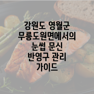 강원도 영월군 무릉도원면에서의 눈썹 문신 반영구 관리 가이드