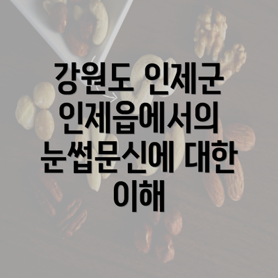 강원도 인제군 인제읍에서의 눈썹문신에 대한 이해