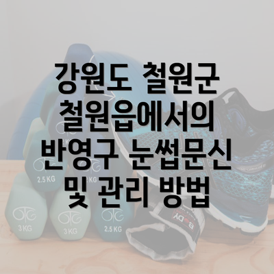 강원도 철원군 철원읍에서의 반영구 눈썹문신 및 관리 방법