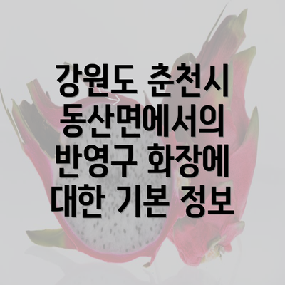 강원도 춘천시 동산면에서의 반영구 화장에 대한 기본 정보