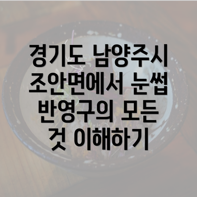 경기도 남양주시 조안면에서 눈썹 반영구의 모든 것 이해하기