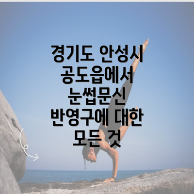 경기도 안성시 공도읍에서 눈썹문신 반영구에 대한 모든 것