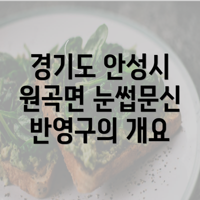 경기도 안성시 원곡면 눈썹문신 반영구의 개요