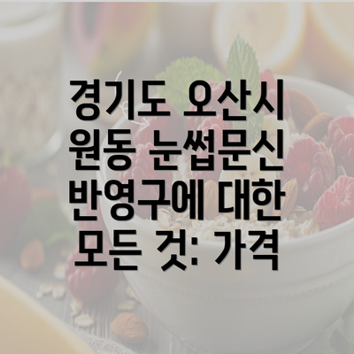 경기도 오산시 원동 눈썹문신 반영구에 대한 모든 것: 가격