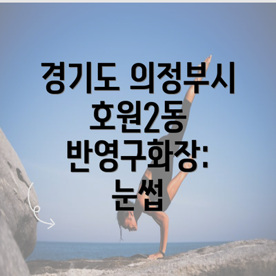 경기도 의정부시 호원2동 반영구화장: 눈썹