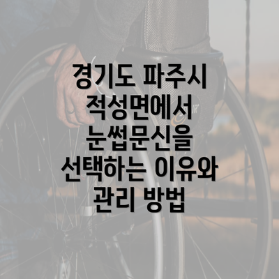 경기도 파주시 적성면에서 눈썹문신을 선택하는 이유와 관리 방법