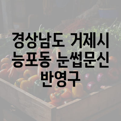 경상남도 거제시 능포동 눈썹문신 반영구