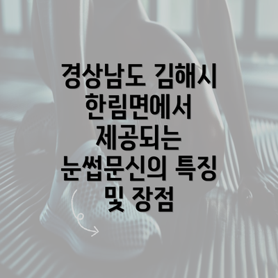 경상남도 김해시 한림면에서 제공되는 눈썹문신의 특징 및 장점