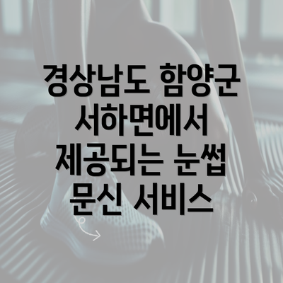 경상남도 함양군 서하면에서 제공되는 눈썹 문신 서비스