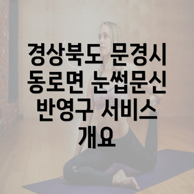 경상북도 문경시 동로면 눈썹문신 반영구 서비스 개요