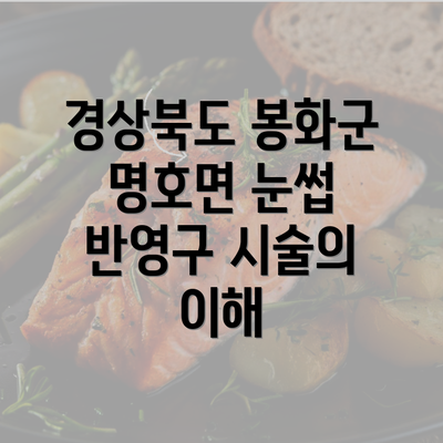 경상북도 봉화군 명호면 눈썹 반영구 시술의 이해