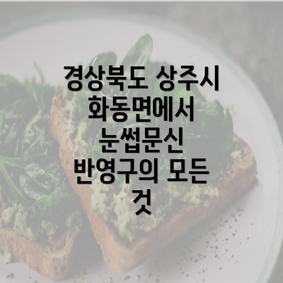 경상북도 상주시 화동면에서 눈썹문신 반영구의 모든 것