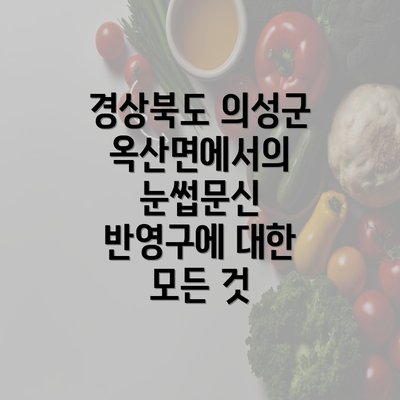 경상북도 의성군 옥산면에서의 눈썹문신 반영구에 대한 모든 것