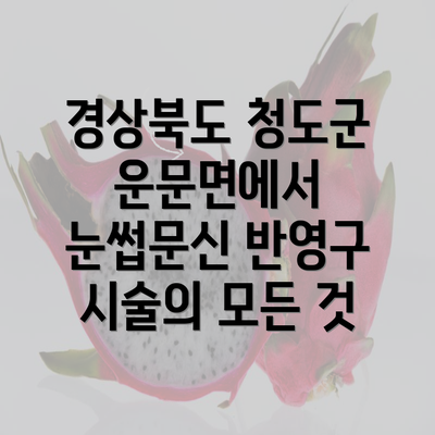 경상북도 청도군 운문면에서 눈썹문신 반영구 시술의 모든 것