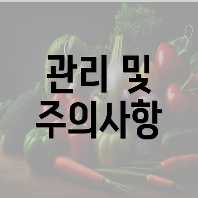 관리 및 주의사항