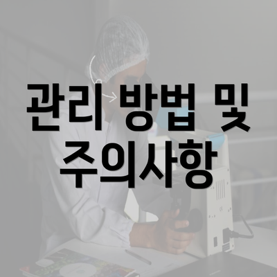 관리 방법 및 주의사항