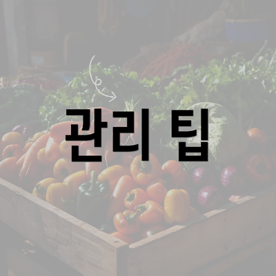 관리 팁