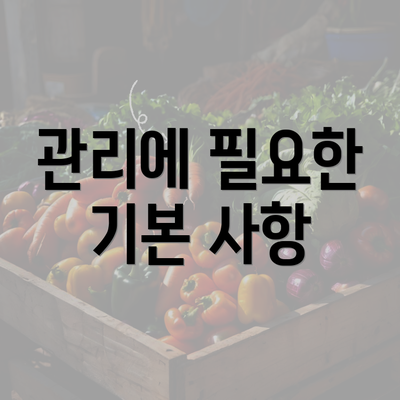 관리에 필요한 기본 사항