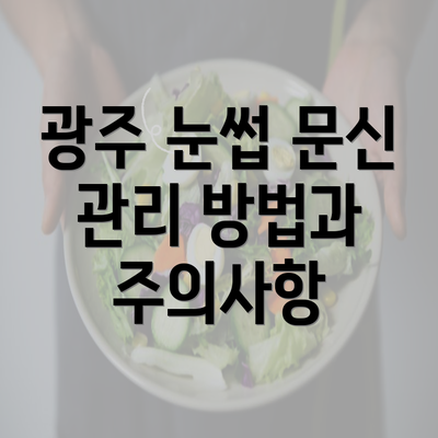 광주 눈썹 문신 관리 방법과 주의사항