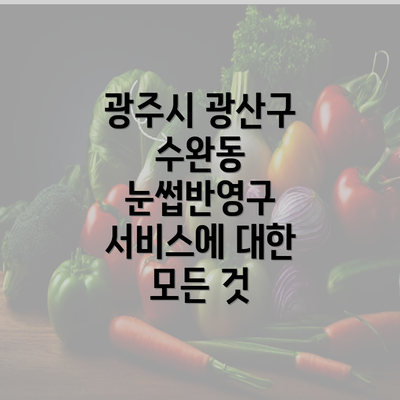 광주시 광산구 수완동 눈썹반영구 서비스에 대한 모든 것