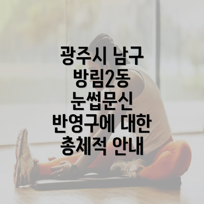 광주시 남구 방림2동 눈썹문신 반영구에 대한 총체적 안내