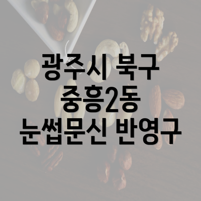 광주시 북구 중흥2동 눈썹문신 반영구