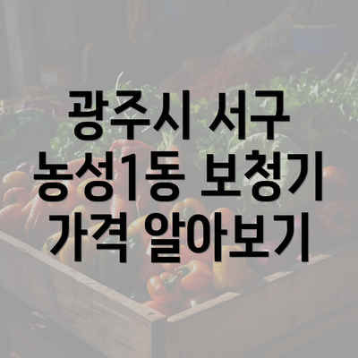 광주시 서구 농성1동 보청기 가격 알아보기