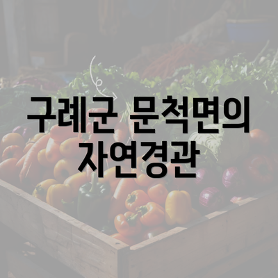 구례군 문척면의 자연경관