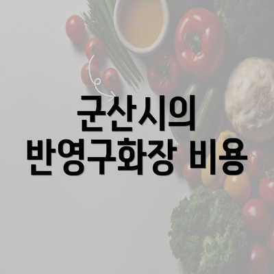 군산시의 반영구화장 비용