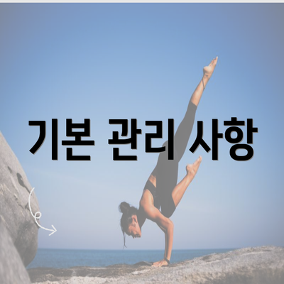 기본 관리 사항