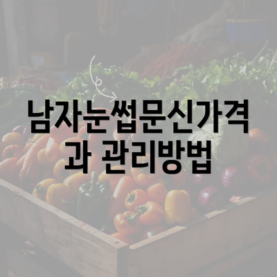 남자눈썹문신가격과 관리방법