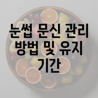 눈썹 문신 관리 방법 및 유지 기간