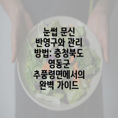 눈썹 문신 반영구와 관리 방법: 충청북도 영동군 추풍령면에서의 완벽 가이드