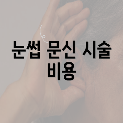 눈썹 문신 시술 비용