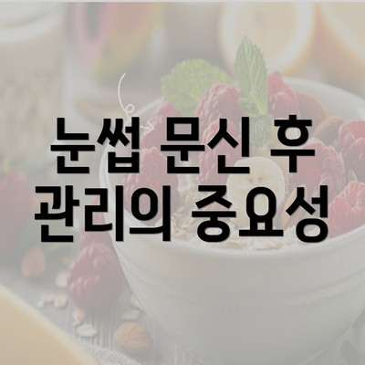 눈썹 문신 후 관리의 중요성