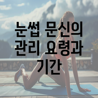 눈썹 문신의 관리 요령과 기간